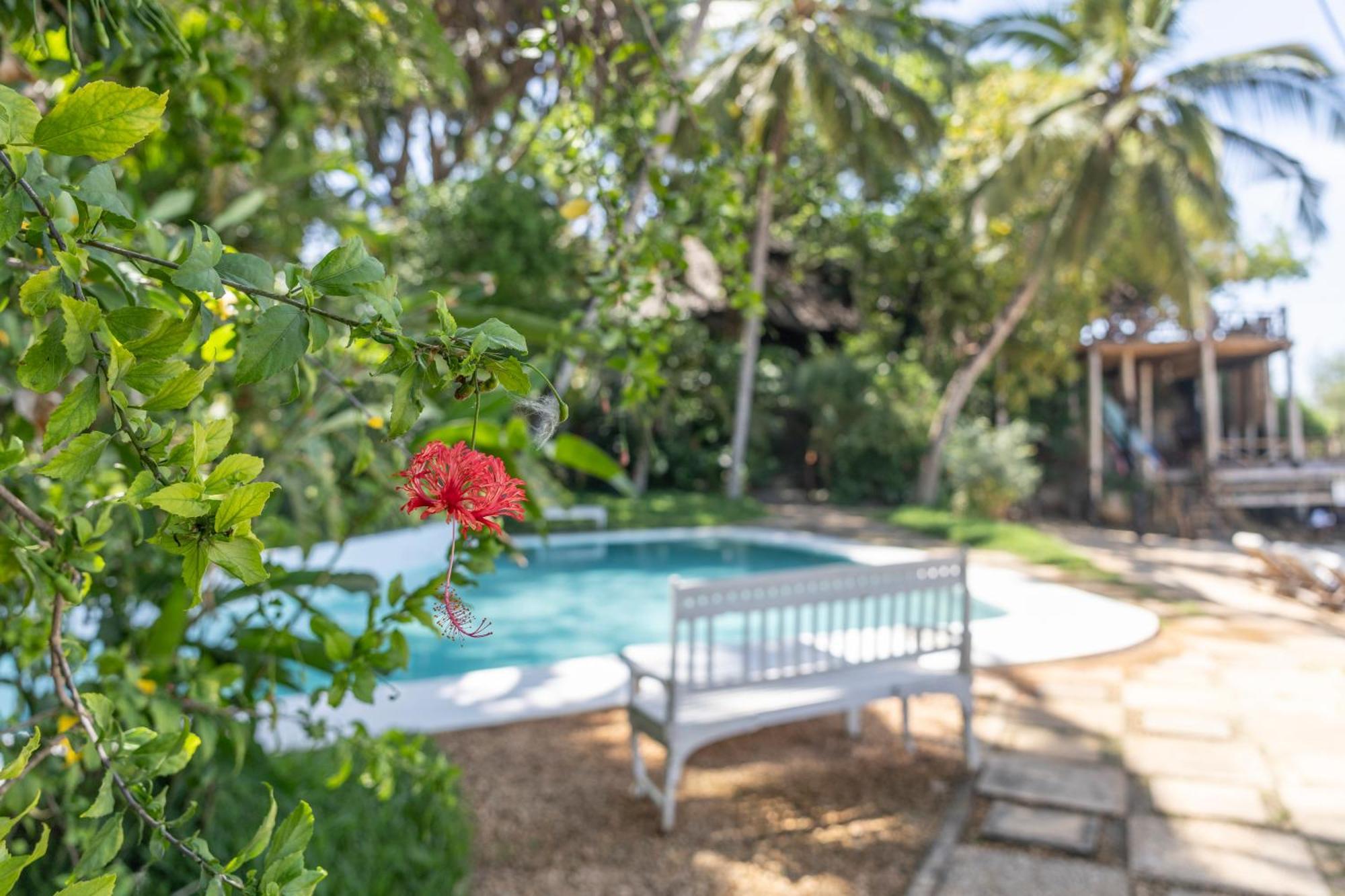 Jungle Paradise Beach Resort&Spa at Mbweni Ruins Hotel Sansibar Exterior foto