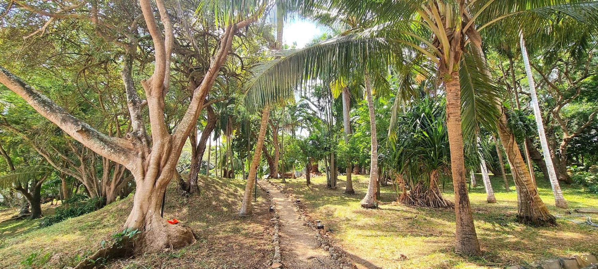 Jungle Paradise Beach Resort&Spa at Mbweni Ruins Hotel Sansibar Exterior foto