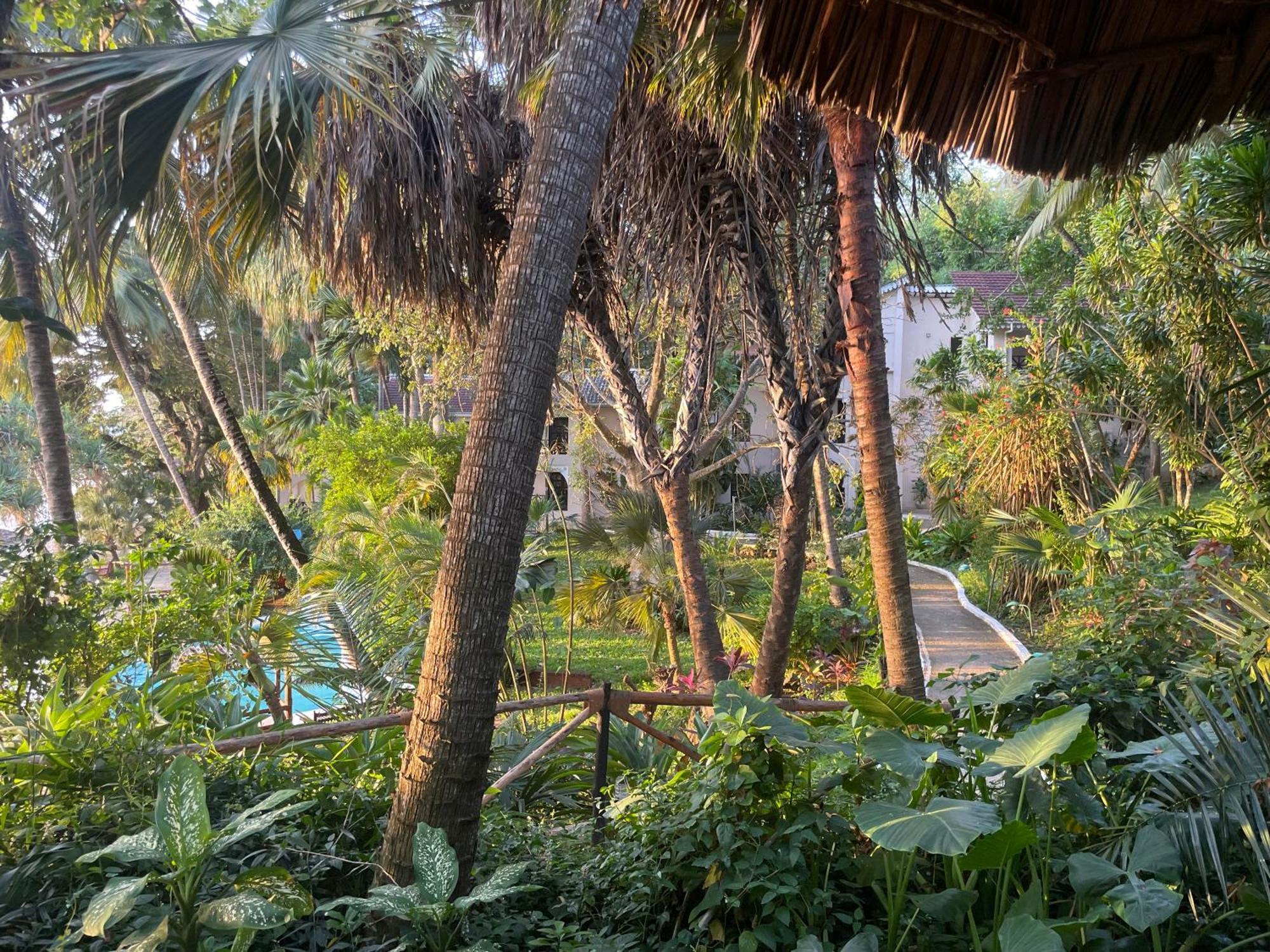 Jungle Paradise Beach Resort&Spa at Mbweni Ruins Hotel Sansibar Exterior foto