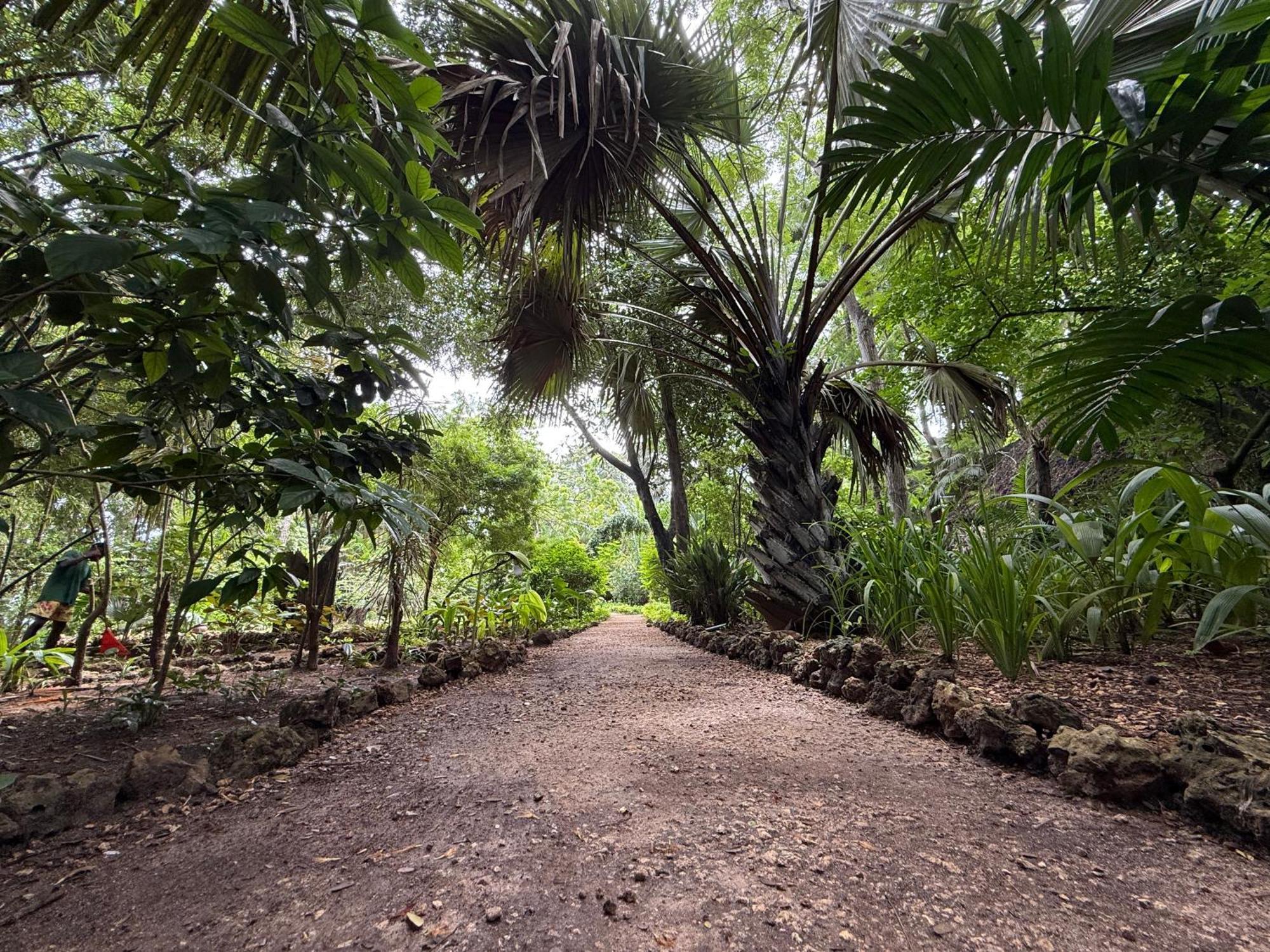 Jungle Paradise Beach Resort&Spa at Mbweni Ruins Hotel Sansibar Exterior foto