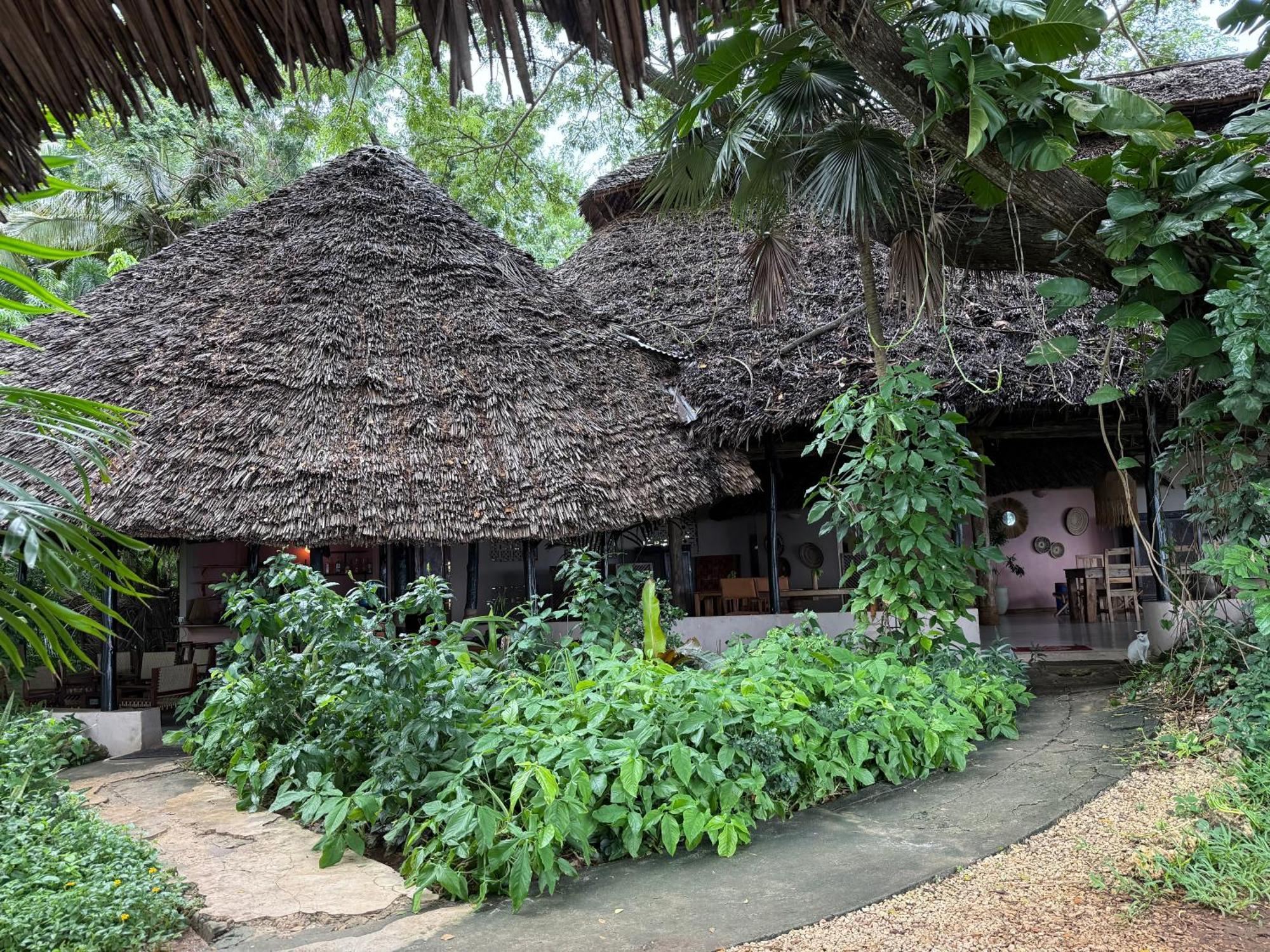 Jungle Paradise Beach Resort&Spa at Mbweni Ruins Hotel Sansibar Exterior foto