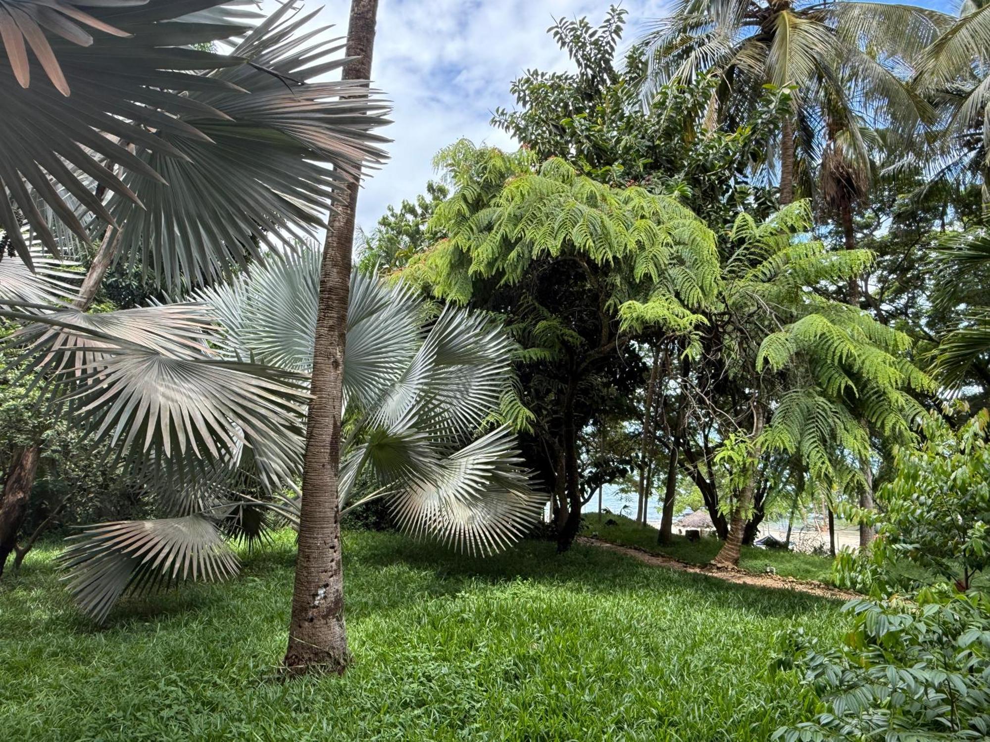 Jungle Paradise Beach Resort&Spa at Mbweni Ruins Hotel Sansibar Exterior foto